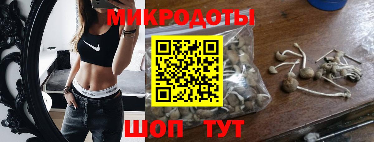Псилоцибиновые грибы мицелий Чебоксары