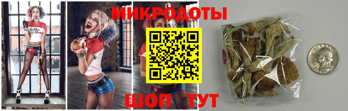 Чебоксары  Галлюциногенные грибы MAGIC MUSHROOMS  Псилоцибиновые грибы Psilocybine cubensis  Вход с VPN 